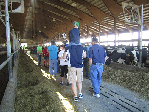 7452367850_f92a28e398